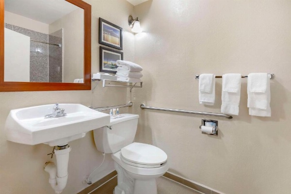 Comfort Suites Port Allen image 10