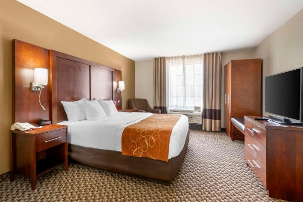 Comfort Suites Port Allen image 12