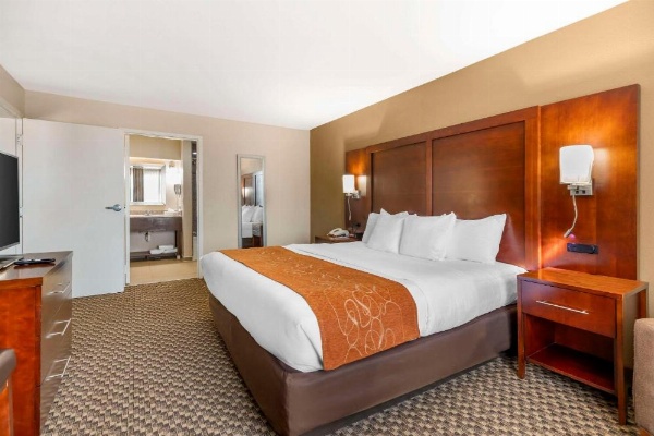 Comfort Suites Port Allen image 13