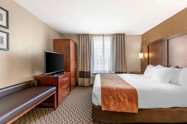 Comfort Suites Port Allen image 17
