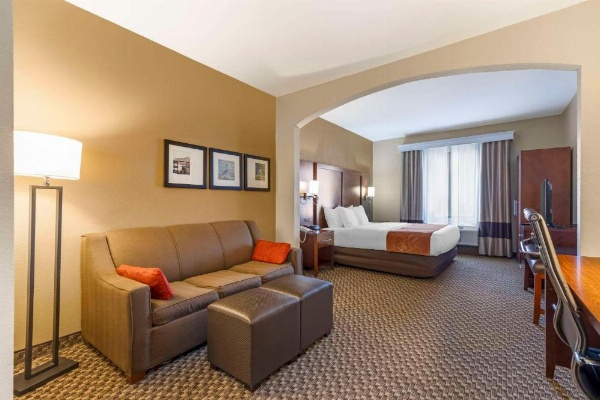Comfort Suites Port Allen image 22