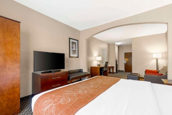 Comfort Suites Port Allen image 24