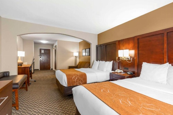 Comfort Suites Port Allen image 26